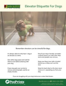 Elevator Etiquette Handout.pdf