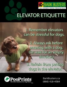 Elevator Poster.pdf