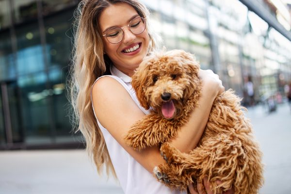 beauty woman with her dog playing outdoors LN2XF4U.jpg