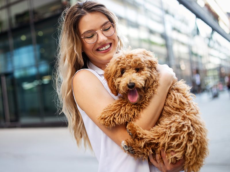 beauty woman with her dog playing outdoors LN2XF4U.jpg